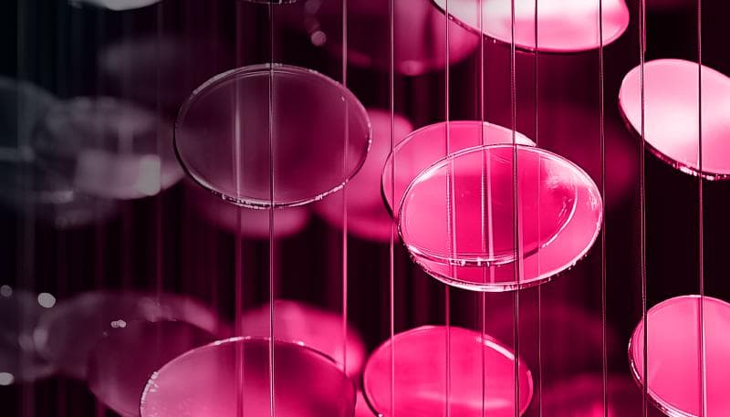 AI trends shaping digital analytics in 2025.