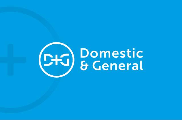 Domestic & General Logo